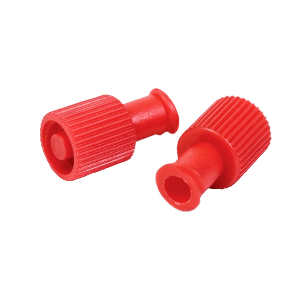 tapa roja 2 tapa roja 2